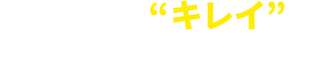 10年経ってもキレイが続くずっと満足の塗装品質